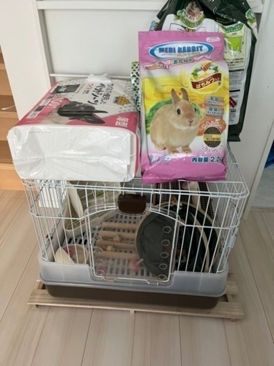 うさぎ飼育セット(受取決定)
