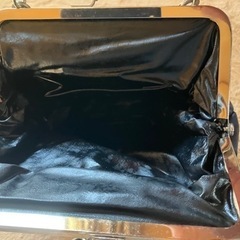 ☆リュック☆の画像