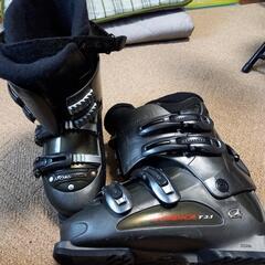 早急に処分したいので値下げしますの画像