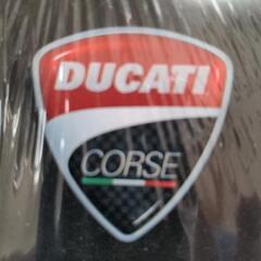 無料ドカティカレンダー2011カラー写真多数無料であげますの画像