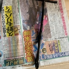 キャプテンスタッグ ダッチオーブン 30cm の画像