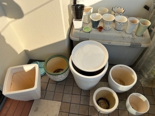 鉢　16個セット　観葉植物