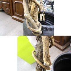 花瓶 水瓶 陶器 インテリア雑貨 置物 フラワーベース 傘立て 西岡店の画像