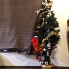 ヌードツリー　180cmの画像