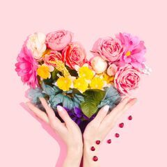 "【福岡の婚活応援団】プラスKOUで夢のご成婚へ！迅速・丁寧なサポートで理想のパートナーを見つけよう" - 福岡市