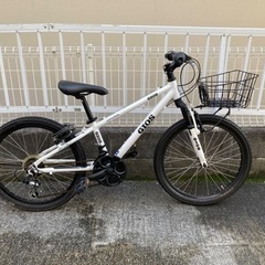 子供自転車22インチ GIOS ジェノバ