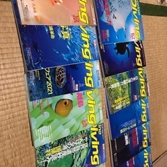 マリンダイビングの画像