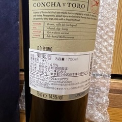 コンチャ・イ・トロ[2019]テルーニョ　赤 ワイン　Concha Y Toroの画像