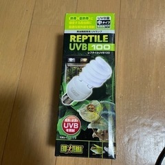 爬虫類飼育セットの画像