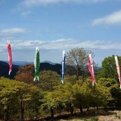 ２０２４　11/9（土）　横浜陣が下渓谷ハイク