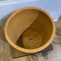 the Farm 購入　鉢（受け皿付き）10号の画像