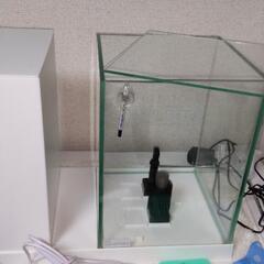 引き渡し予約済みです。ありがとうございます!の画像