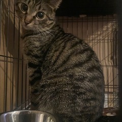 イケメンな優しい男の子
