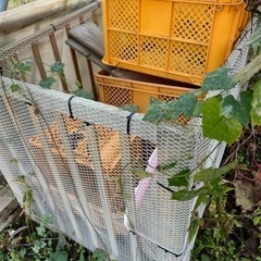 ペットケージ、ニワトリ小屋