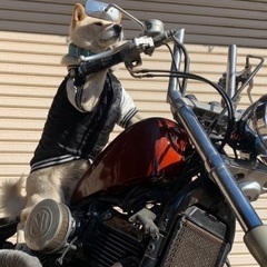 バルカン400 カスタム車　VN400A エンジン始動　書付き　...