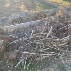 無料　薪ストーブやキャンプにの画像