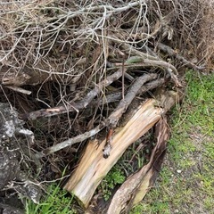 無料　薪ストーブやキャンプにの画像