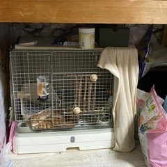 うさぎゲージ　ケージ　チモシー　餌入れ　ペット　小動物の画像