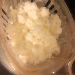 ケフィア ヨーグルト