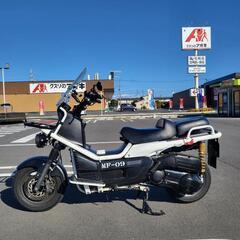 HONDA PS250 MF-09 big ruckus ホンダ ビッグスクーターの画像