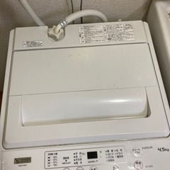 家電 生活家電 洗濯機