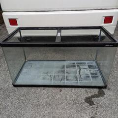 NISSO90cm水槽訳あり