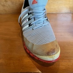 ゴルフシューズ（メンズ26cm）の画像