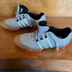 ゴルフシューズ（メンズ26cm）の画像