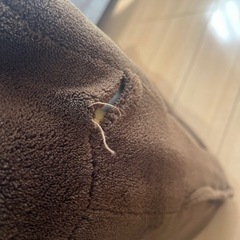 座椅子の画像