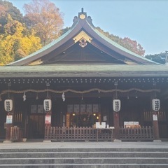 一緒に初詣行きませんか？😊