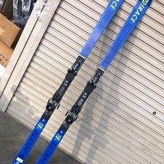 送料無料大回りGS板  Salomon S/Race Pro G...