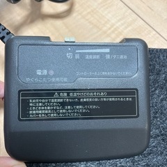 【¥0】一畳　ホットカーペット　の画像
