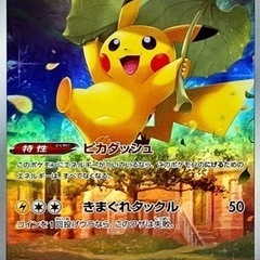 ポケカ友達募集