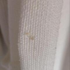 リップサービスの画像