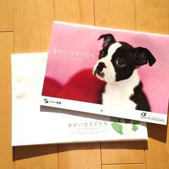 2024年カレンダー　ゆかいな子犬たち　ソニー生命の画像