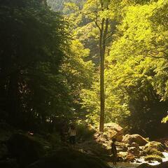 キャンプ仲間募集します🙇‍♂️ - メンバー募集