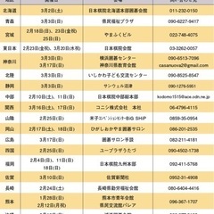 【子供囲碁大会】【九州】ボンド杯第27回全日本子供囲碁大会in福岡大会【大分〜福岡】 - 大分市