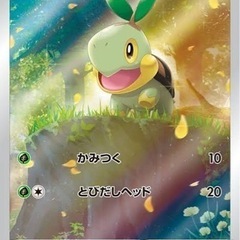 ポケモンカード対戦仲間募集