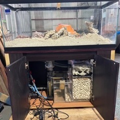 全循環型！120cm 水槽（淡水・海水用）