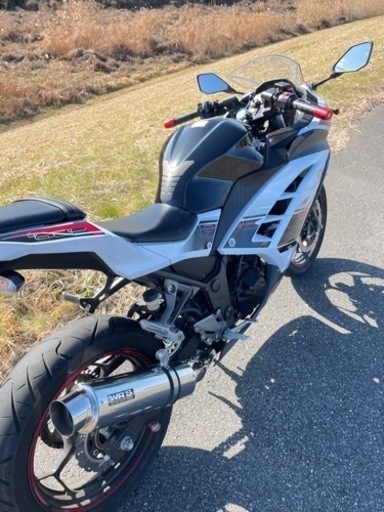 カワサキ ニンジャ250