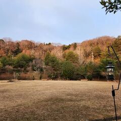 キャンプ仲間募集