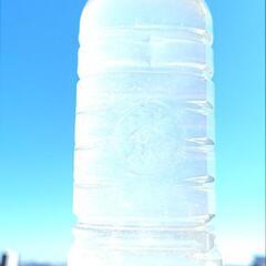 幹之メダカ若魚10匹+α　ナンバー1の画像