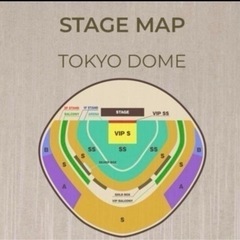 即日お届け可★ブルーノ・マーズ　東京ドーム1/16公演　アリーナSS席　2枚の画像