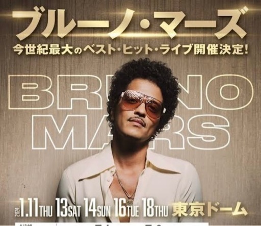 即日お届け可★ブルーノ・マーズ　東京ドーム1/16公演　アリーナSS席　2枚