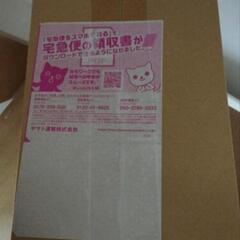 ポケカ シャイニートレジャー