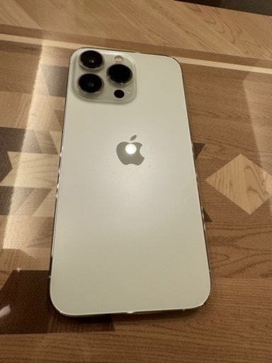 docomo 【SIMロックなし】iphone13 pro 256GB