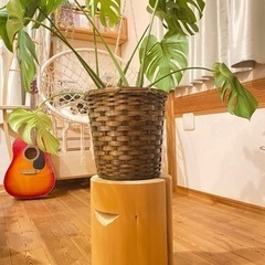 手づくり🌳天然木　丸太の椅子　インテリア