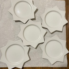42 各種サラ2の画像