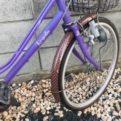 自転車、トイザらスオリジナル、レジオ、パープル、紫色、ドット柄、２２インチの画像
