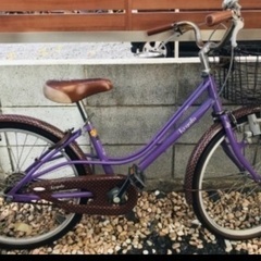 自転車、トイザらスオリジナル、レジオ、パープル、紫色、ドット柄、２２インチの画像